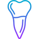 premolar icon