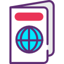 pasaporte icon