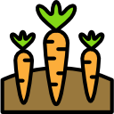 zanahorias icon