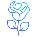 rosa icon