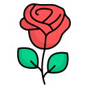 rosa icon