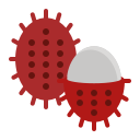 rambután icon