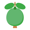 guayaba icon