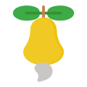 cashewfrucht 