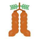 tamarindo icon