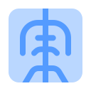 médico icon