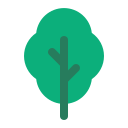 naturaleza icon