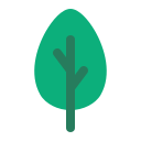 naturaleza icon