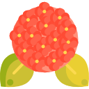 hortensia icon