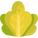 lechuga icon