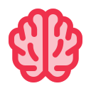 cerebro icon