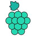 fruta icon