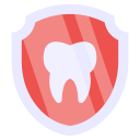 protección dental 