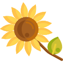 girasol icon