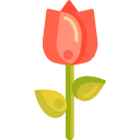 tulipán icon