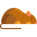 ratón icon