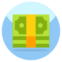 dinero icon