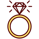 anillos icon