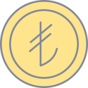 moneda icon