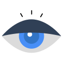 ojo icon