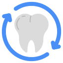 odontología 