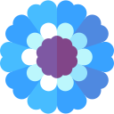 cineraria icon