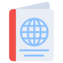 pasaporte icon