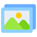 portafolio icon