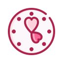 reloj icon