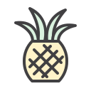 fruta icon