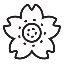 Цветок icon