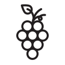 Fruit icon