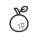 Фрукты icon