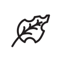 Nature icon
