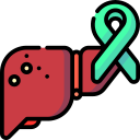 cáncer de hígado icon