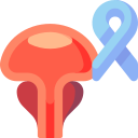 cancer de prostata icon