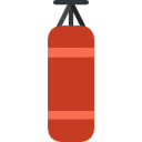 Boxing icon