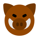 animal 