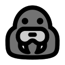 plage icon
