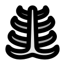 Human 