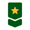 estrella icon