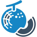 Fruit icon