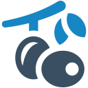 Fruit icon