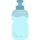 botella