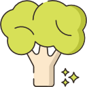 Broccoli 