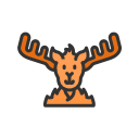 animal 
