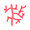 의료 