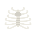 schädel 