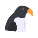 음식 