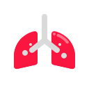 pulmones icon